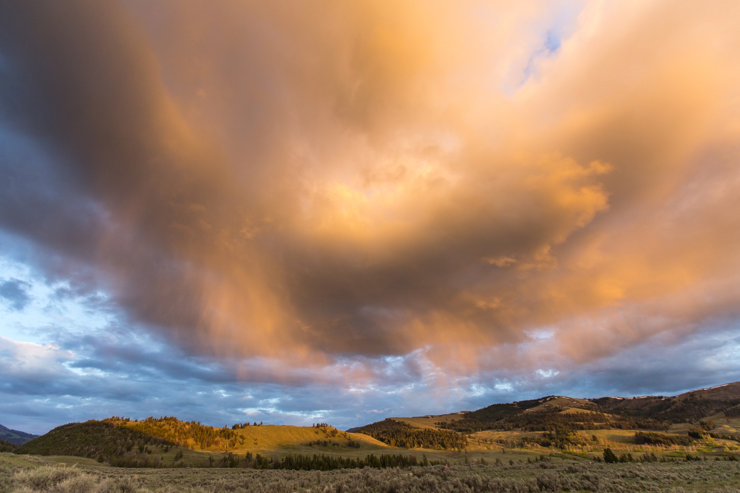 Storm light and a bank of cloud over the hills of the Lamar Valley.