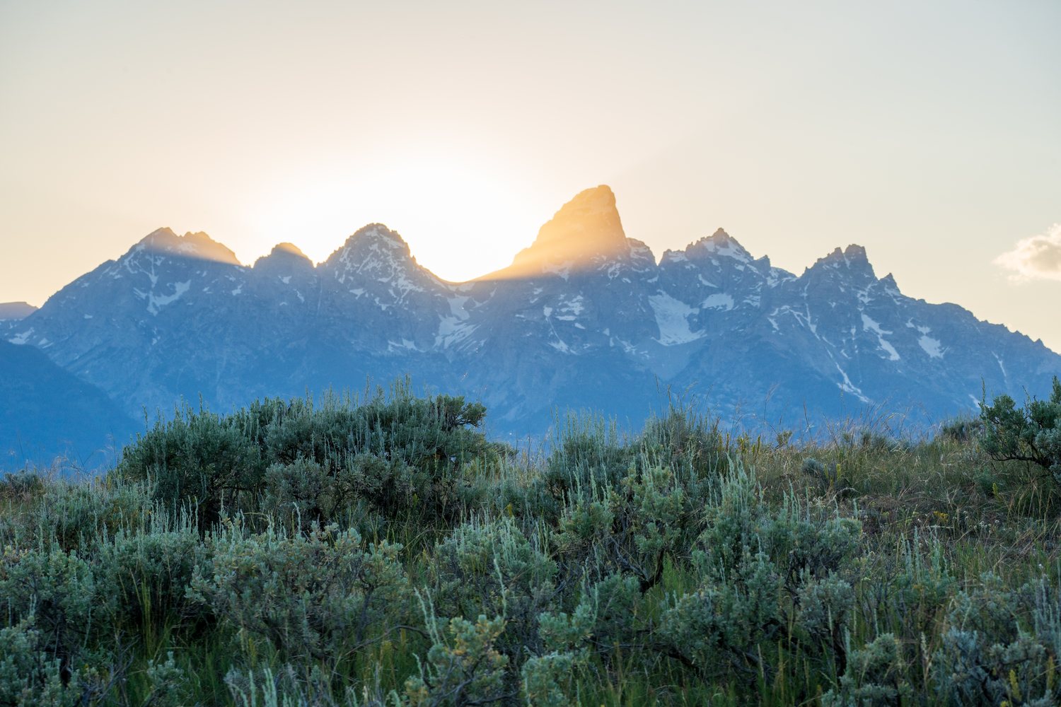 The Teton Range at sunset behind a field of sagebrush.